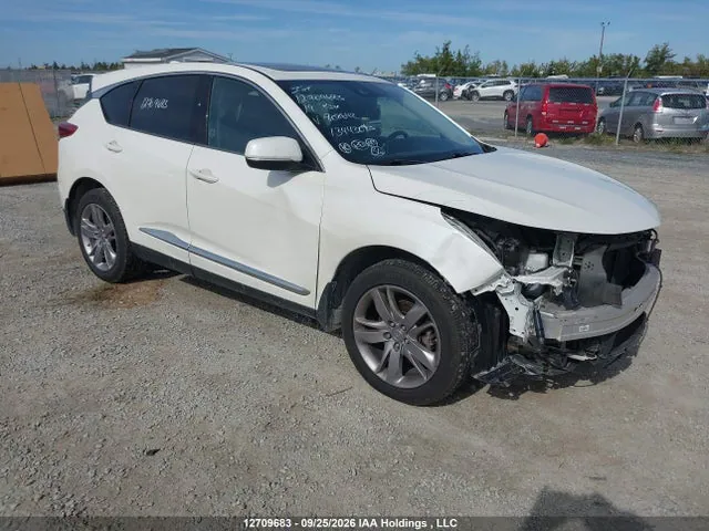 2019 Acura Rdx Platinum Elite VIN 5J8TC2H95KL808642 фото 1