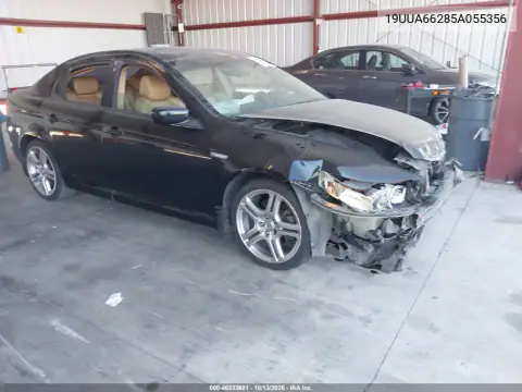 19UUA66285A055356 — 2005 Acura TL, Передняя часть, фото до ремонта