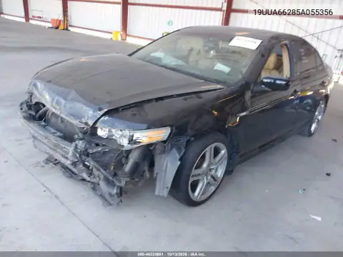 19UUA66285A055356 — 2005 Acura TL, фото 3 с аукциона IAAI, Передняя часть