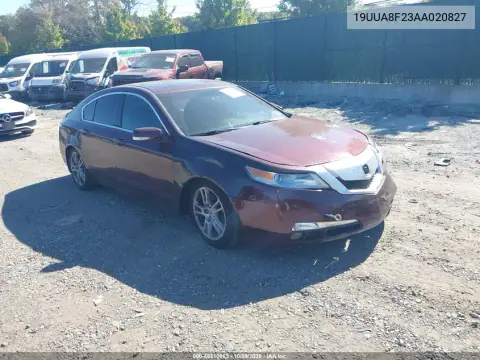 19UUA8F23AA020827 — 2010 Acura TL, Передний левый, фото до ремонта