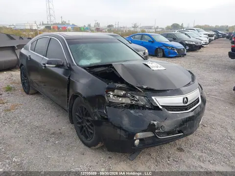 19UUA8F20EA800063 — 2014 Acura TL, Передняя часть (Front), фото до ремонта