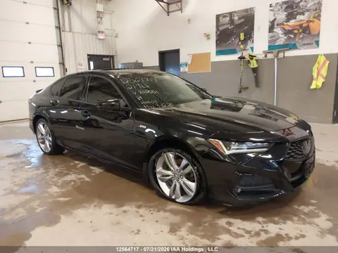 19UUB6F59MA802551 — 2021 Acura Tlx A-Spec, Угон (Theft), фото до ремонта