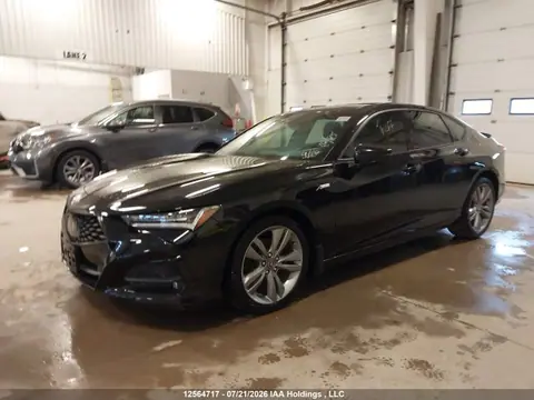 2021 Acura Tlx A-spec VIN 19UUB6F59MA802551 фото 2
