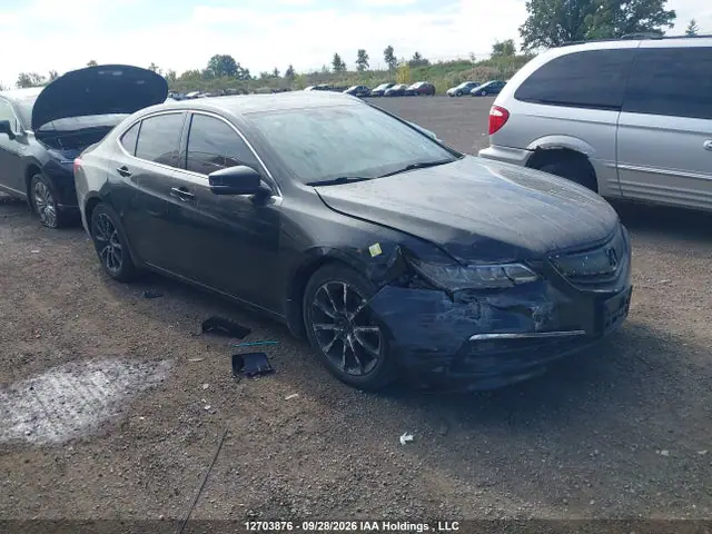 19UUB3F50FA801127 — 2015 Acura TLX TECH, Передняя часть (Front), фото до ремонта