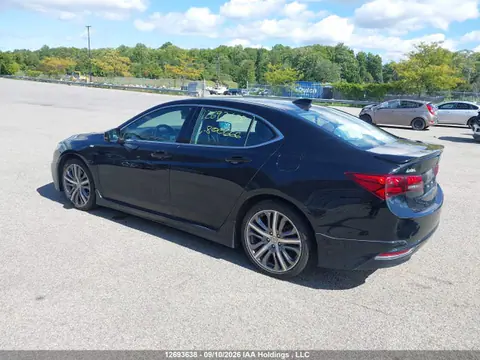 2016 Acura TLX TECH VIN 19UUB3F51GA800666 фото 3