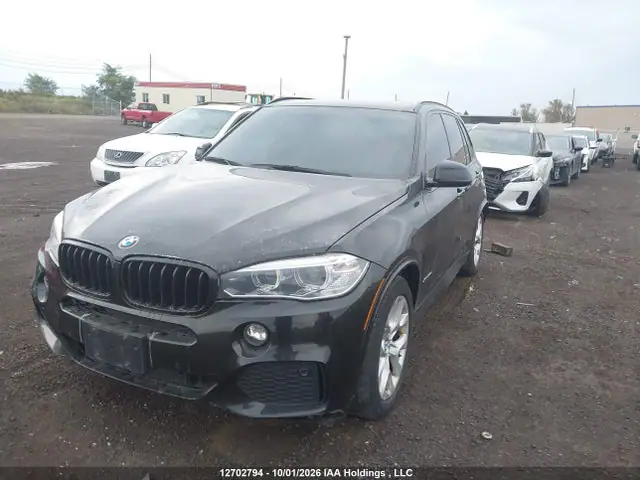 5UXKS4C57G0N13398 — 2016 BMW X5 XDRIVE35D, фото 2 с аукциона IAAI 14.10.2026, Подтопление