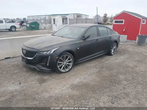 2023 Cadillac Ct5 Sport VIN 1G6DU5RK3P0104387 фото 2