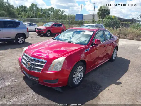 1G6DF5EY3B0118075 — 2011 Cadillac CTS, фото 3 с аукциона IAAI, Боковая часть