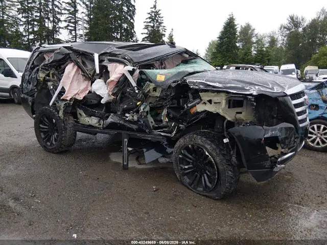 1GYS4BKJ2KR270757 — 2019 Cadillac Escalade Luxury, Биологическая или химическая опасность (Biohazard), фото до ремонта