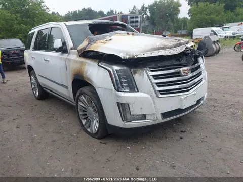 2016 Cadillac Escalade Platinum VIN 1GYS4DKJ7GR208872 фото 1