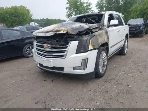 2016 Cadillac Escalade Platinum VIN 1GYS4DKJ7GR208872 фото 2