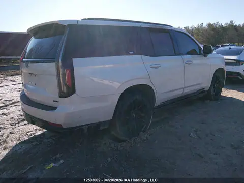2024 Cadillac Escalade VIN 1GYS4GKL3RR155237 фото 4