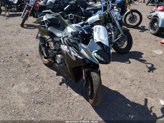 2023 Cf Moto 300ss VIN LCEPDPL34P6001273 фото 1