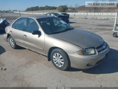 1G1JC52F537254303 — 2003 Chevrolet Cavalier, Сзади, фото до ремонта
