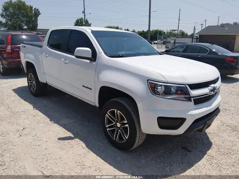 1GCGTBEN6K1191796 — 2019 Chevrolet Colorado Wt, Град (Hail), фото до ремонта