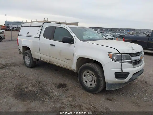 1GCHSBEA1K1241766 — 2019 Chevrolet Colorado, Град (Hail), фото до ремонта