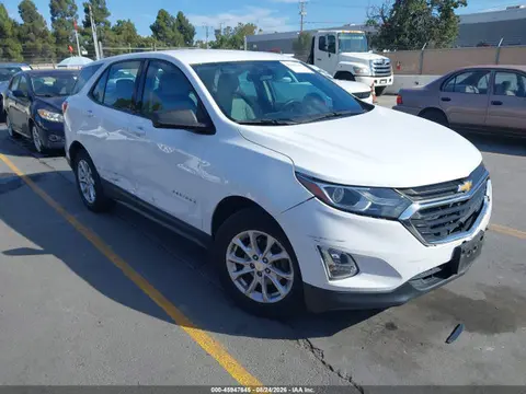 3GNAXHEV6KS557453 — 2019 Chevrolet Equinox LS, Естественный износ (Normal Wear & Tear), фото до ремонта