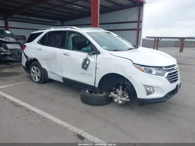 2GNAXXEVXK6196091 — 2019 Chevrolet Equinox Premier, Правый бок (Right Side), фото до ремонта
