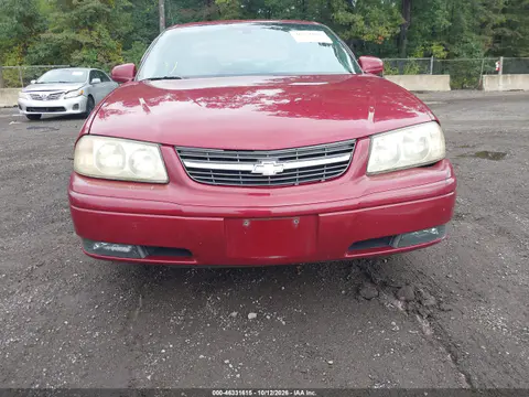2G1WH52K959386566 — 2005 Chevrolet Impala, Сзади, фото до ремонта