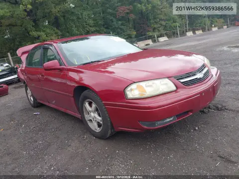 2G1WH52K959386566 — 2005 Chevrolet Impala, Сзади, фото до ремонта
