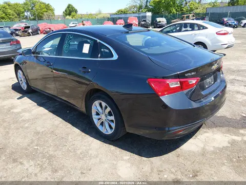 2023 Chevrolet Malibu Fwd 1lt VIN 1G1ZD5ST0PF239287 фото 3