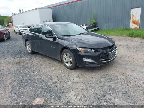 1G1ZB5ST7RF157114 — 2024 Chevrolet Malibu LS, Передняя часть (Front), фото до ремонта