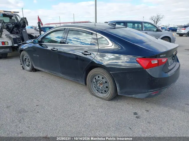 1G1ZE5ST0HF188596 — 2017 Chevrolet Malibu LT, фото 3 с аукциона IAAI 14.10.2026, Передняя часть