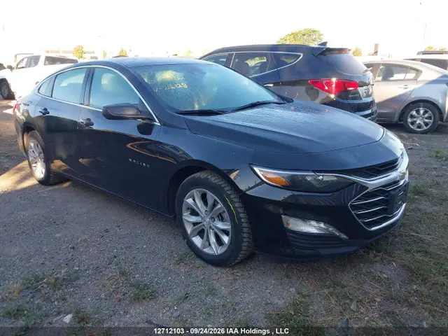 1G1ZD5ST4RF216128 — 2024 Chevrolet Malibu LT, Град (Hail), фото до ремонта