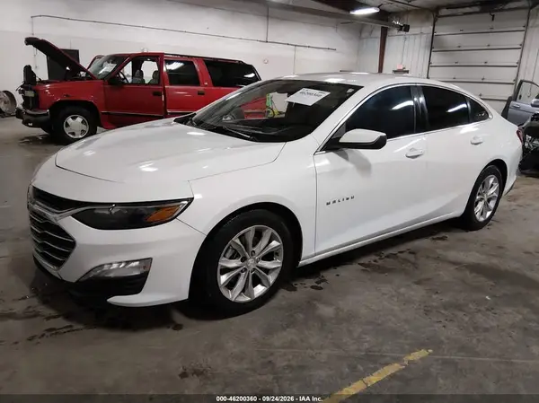 1G1ZD5ST7KF119446 — 2019 Chevrolet Malibu, фото 2 с аукциона IAAI, Правый бок