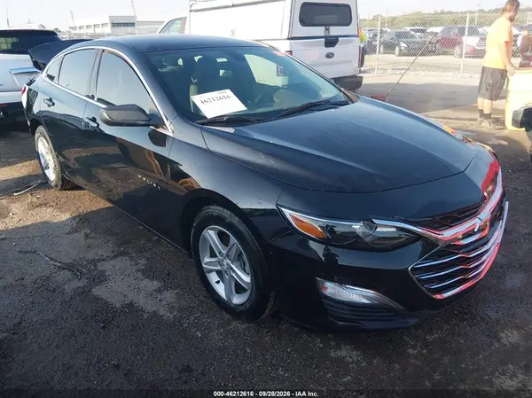 1G1ZB5ST9KF115856 — 2019 Chevrolet Malibu, Задняя часть (Rear), фото до ремонта