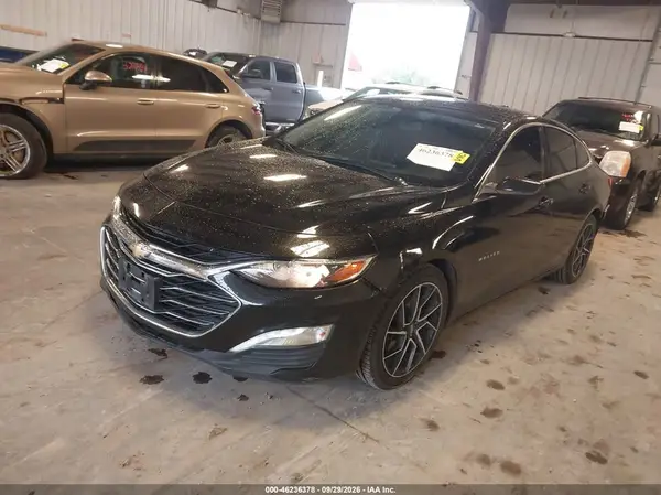 1G1ZD5ST9KF194195 — 2019 Chevrolet Malibu, фото 2 с аукциона IAAI, Задняя часть