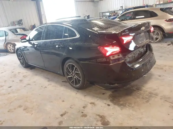 1G1ZD5ST9KF194195 — 2019 Chevrolet Malibu, фото 3 с аукциона IAAI, Задняя часть