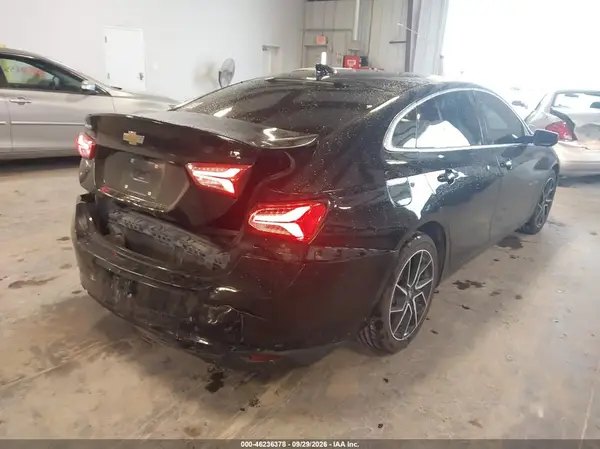 1G1ZD5ST9KF194195 — 2019 Chevrolet Malibu, фото 4 с аукциона IAAI, Задняя часть