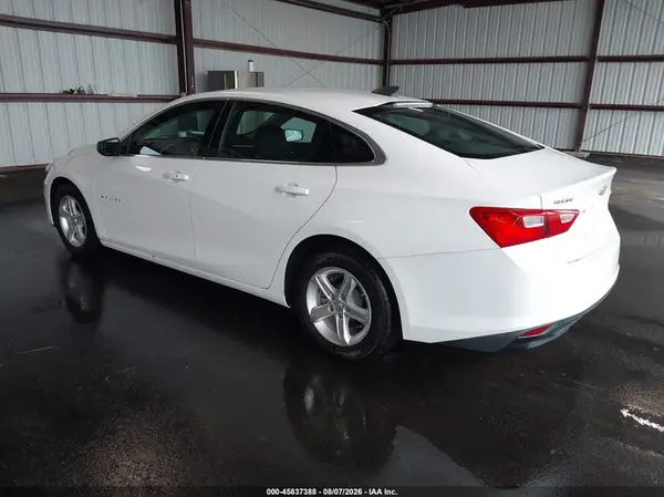 1G1ZC5ST1LF013451 — 2020 Chevrolet Malibu, фото 3 с аукциона IAAI 06.10.2026, Естественный износ