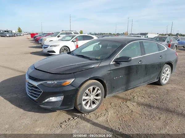 1G1ZD5ST8MF033324 — 2021 Chevrolet Malibu, фото 2 с аукциона IAAI 29.09.2026, Задняя часть