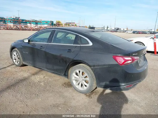1G1ZD5ST8MF033324 — 2021 Chevrolet Malibu, фото 3 с аукциона IAAI 29.09.2026, Задняя часть