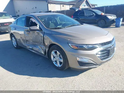1G1ZB5ST2RF226761 — 2024 Chevrolet Malibu, Правый бок (Right Side), фото до ремонта
