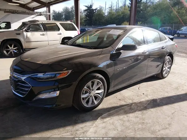 1G1ZD5ST8RF210123 — 2024 Chevrolet Malibu, фото 2 с аукциона IAAI 14.10.2026, Задняя часть