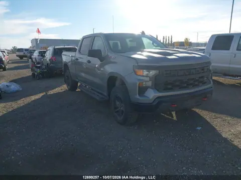 2023 Chevrolet Silverado K1500 Trail Boss Custom VIN 3GCUDCED4PG309639 фото 1