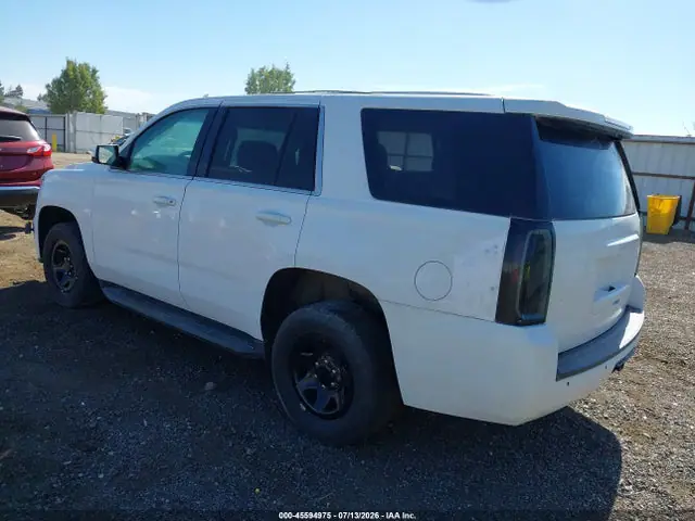 2019 Chevrolet Tahoe Commercial Fleet VIN 1GNSKDECXKR243818 фото 3