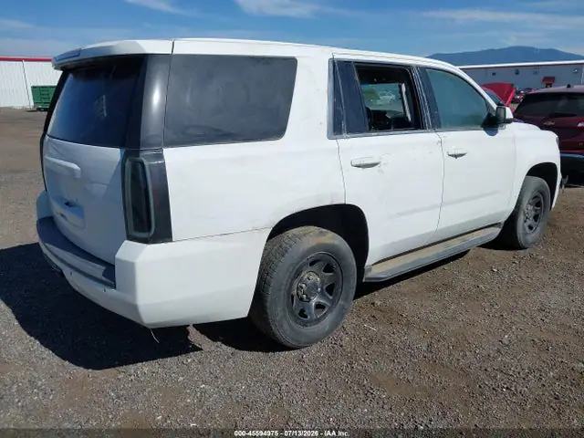 2019 Chevrolet Tahoe Commercial Fleet VIN 1GNSKDECXKR243818 фото 4