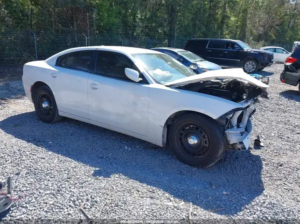2C3CDXKT9KH755281 — 2019 Dodge Charger, Передняя часть (Front End), фото до ремонта