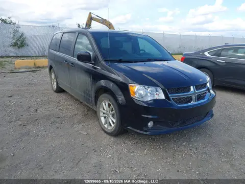 2C4RDGCG1LR208623 — 2020 Dodge Grand Caravan Premium Plus, Задняя часть (Rear), фото до ремонта