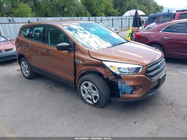 2017 Ford ESCAPE S VIN 1FMCU0F79HUD06040 фото 1