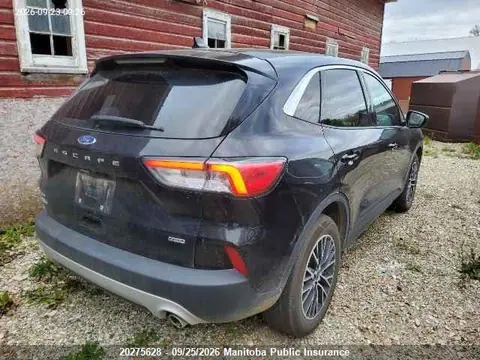 2022 Ford Escape Se Hybrid VIN 1FMCU0EZ1NUB21298 фото 4