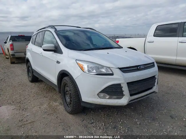 1FMCU9G92EUE30070 — 2014 Ford Escape SE, Град (Hail), фото до ремонта