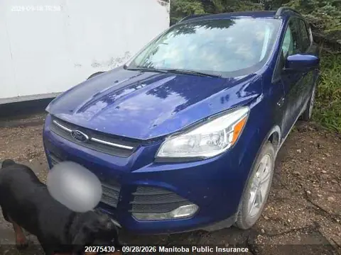 2014 Ford ESCAPE SE VIN 1FMCU0GX3EUD34331 фото 2