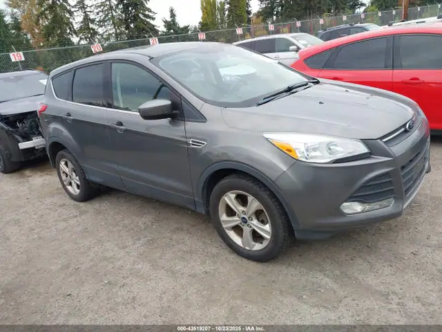 1FMCU9G98EUC38071 — 2014 Ford Escape SE, Левый бок (Left Side), фото до ремонта