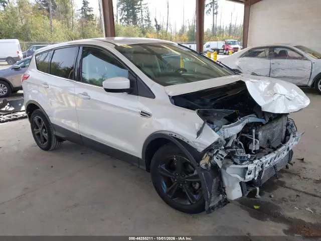 1FMCU0GX2EUD49189 — 2014 Ford Escape SE, Передняя часть (Front End), фото до ремонта