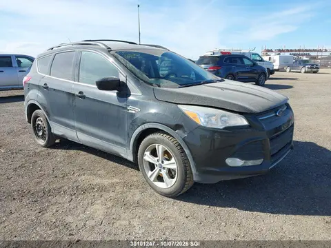 1FMCU9GX8FUA71064 — 2015 Ford Escape SE, Град (Hail), фото до ремонта